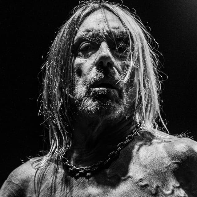 Iggy Pop suites and premium seating