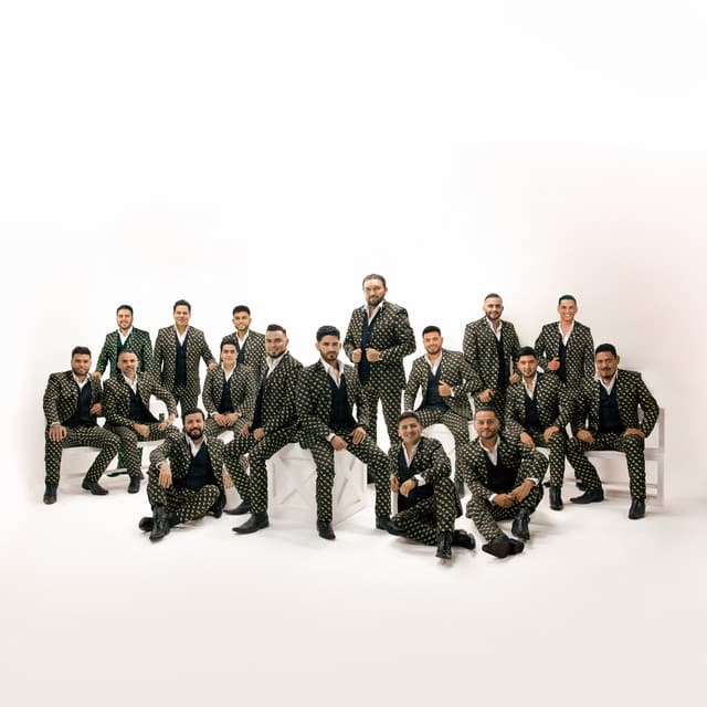 Banda El Recodo image