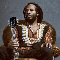Ziggy Marley suites and premium seating