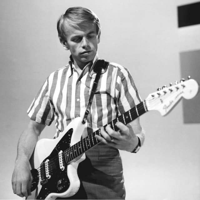 Al Jardine image