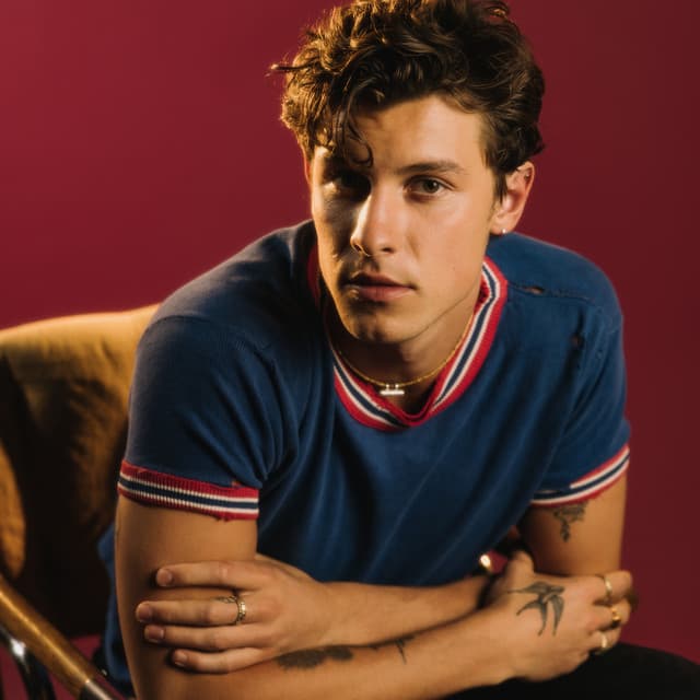 Shawn Mendes suites and premium seating