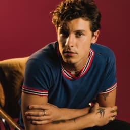 Shawn Mendes suites and premium seating