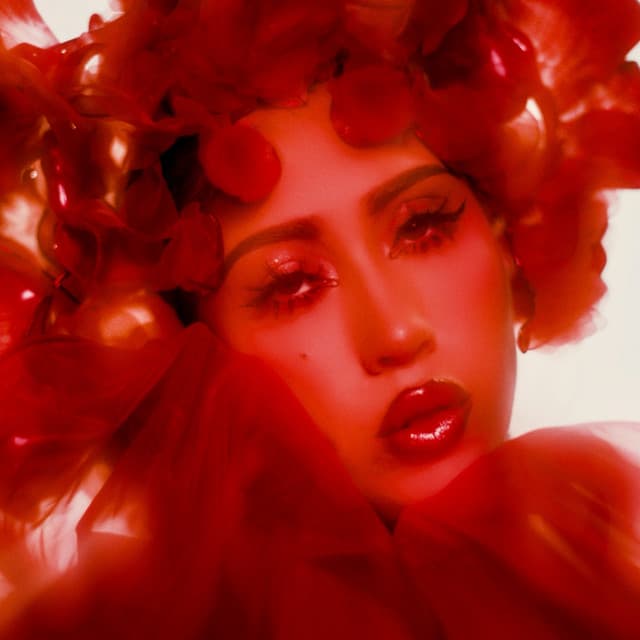 Kali Uchis suites and premium seating