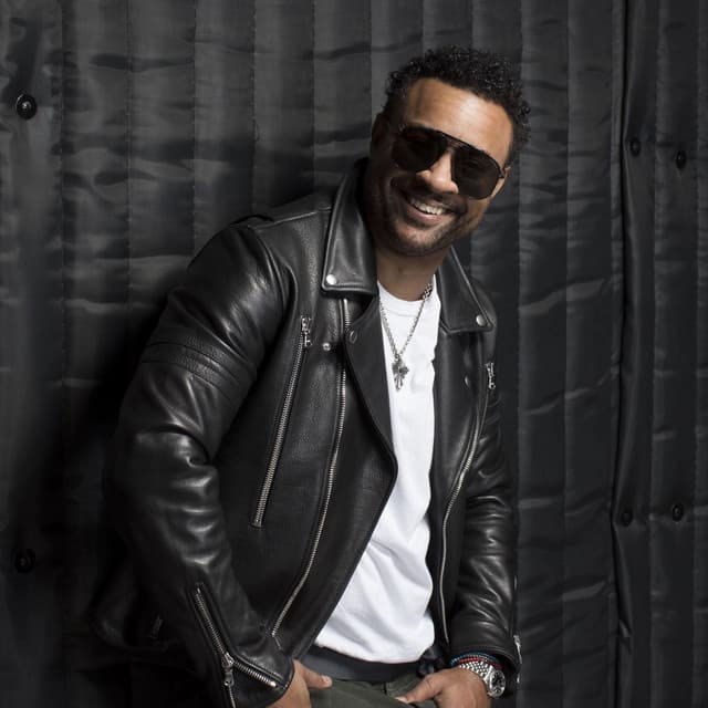 Shaggy suites and premium seating