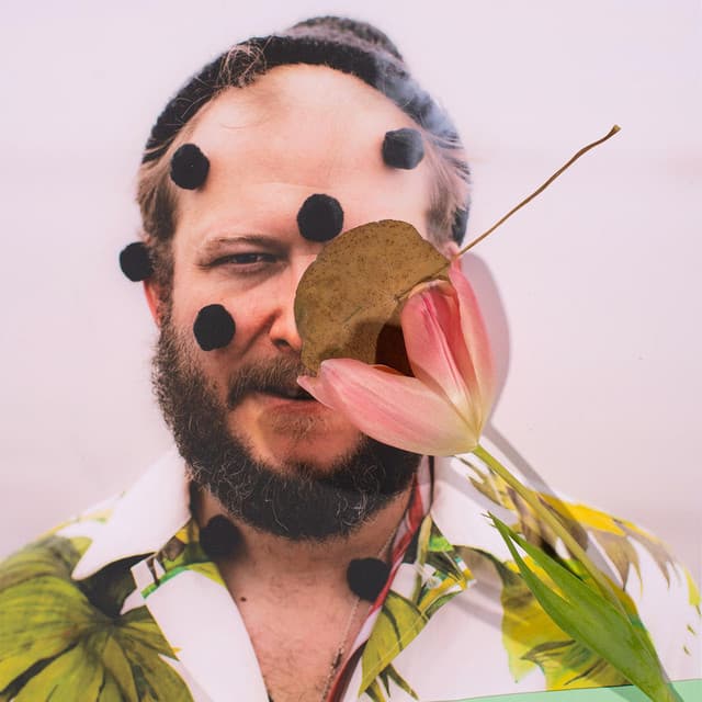 Bon Iver image