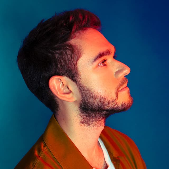 Zedd image