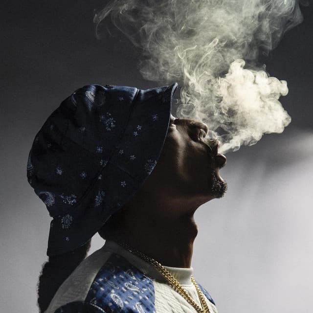 Snoop Dogg suites and premium seating