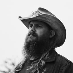 Chris Stapleton image