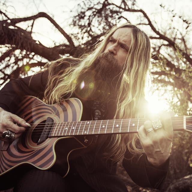 Zakk Wylde suites and premium seating