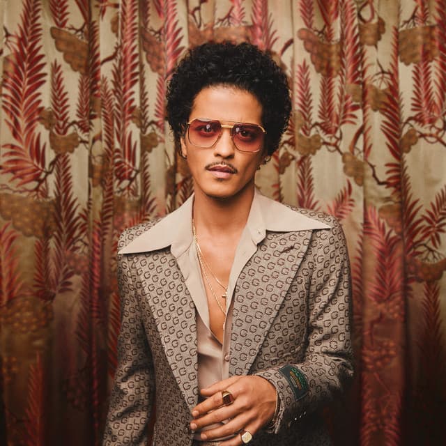 Bruno Mars suites and premium seating