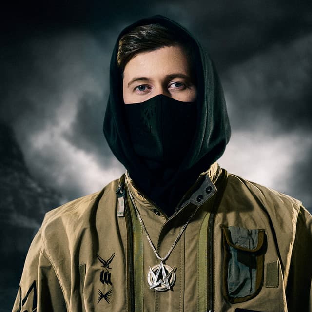 Alan Walker image