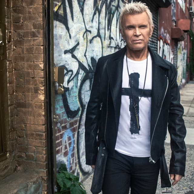 Billy Idol image