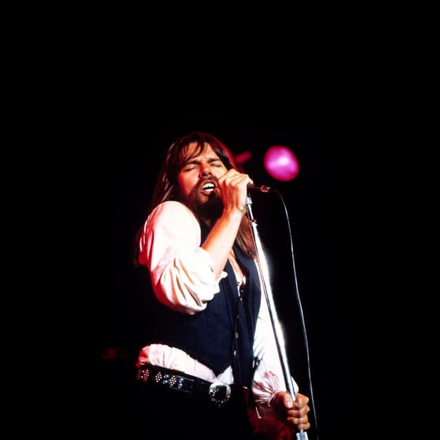 Bob Seger image