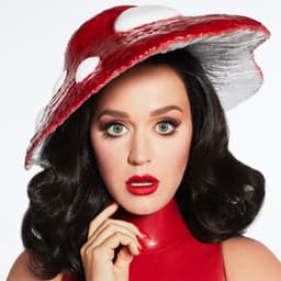 Katy Perry suites and premium seating