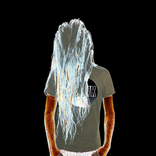 Bassnectar image