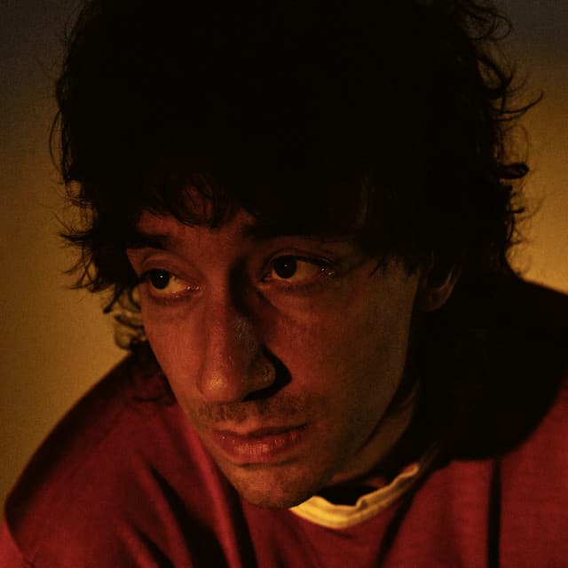 Albert Hammond Jr image