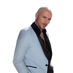 Pitbull suites and premium seating