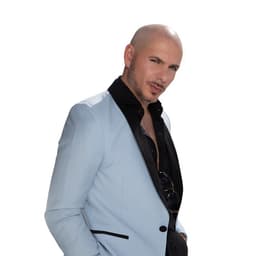 Pitbull image