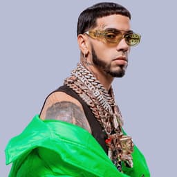 Anuel AA suites and premium seating