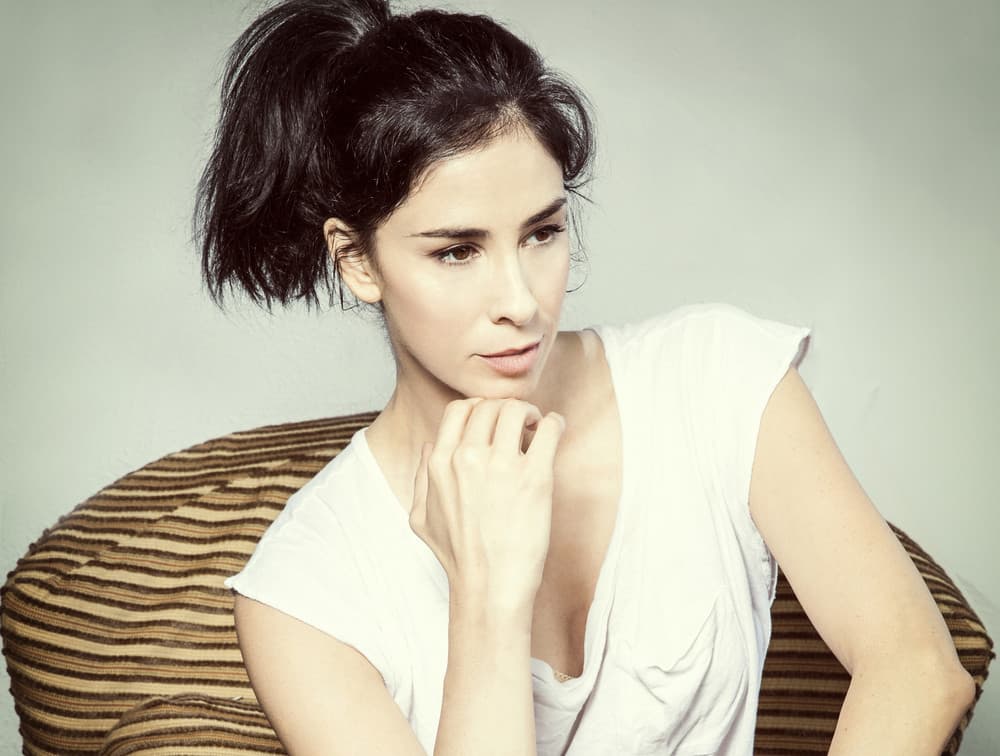 Sarah Silverman suites and premium seating