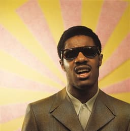 Stevie Wonder image