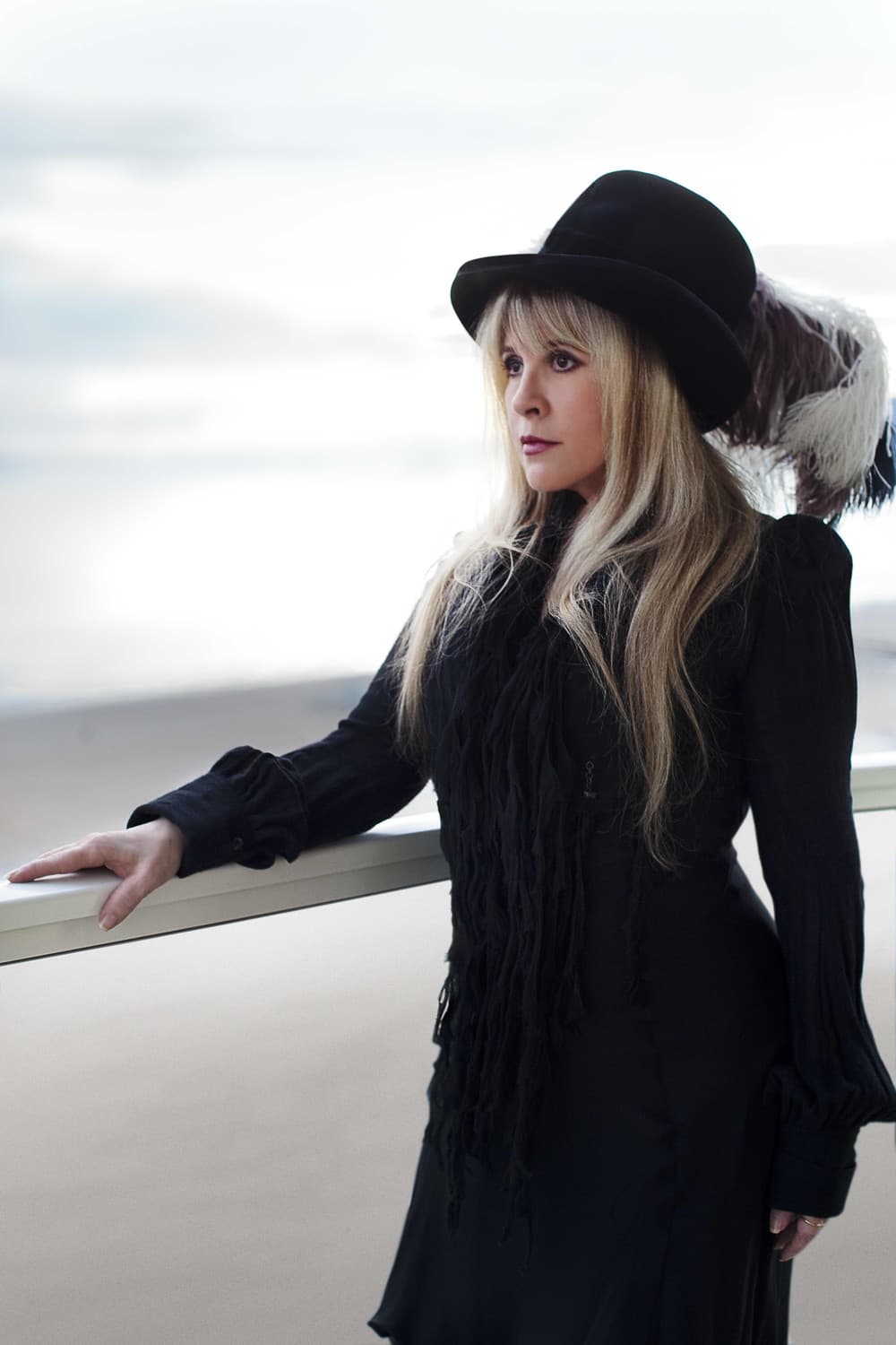 Stevie Nicks suites and premium seating