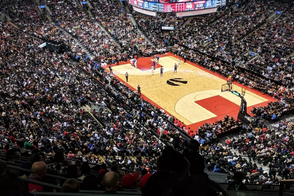 Toronto Raptors