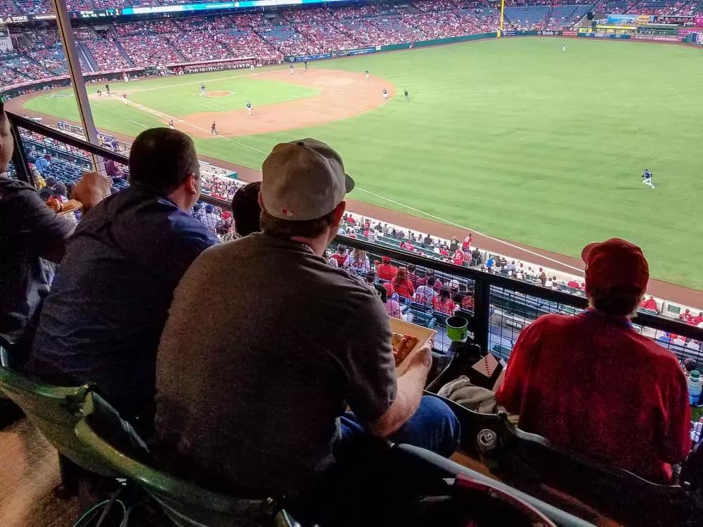 Angels Stadium Suite View