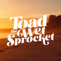 Toad The Wet Sprocket image