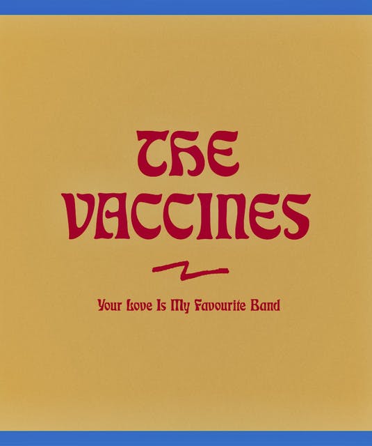 The Vaccines image