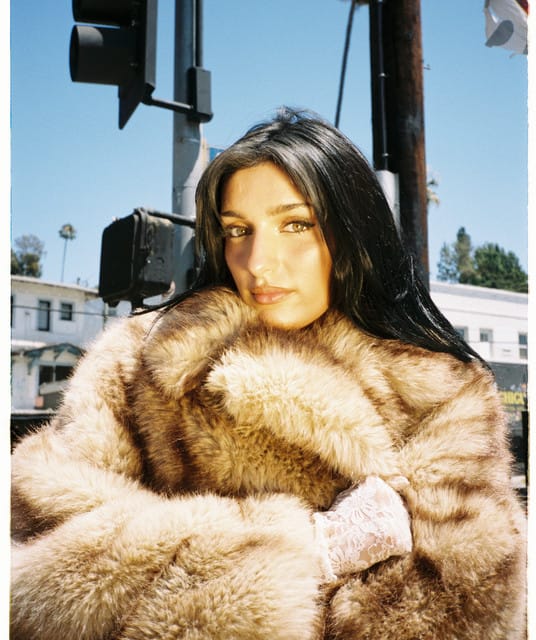 Gabriella Rose suites and premium seating