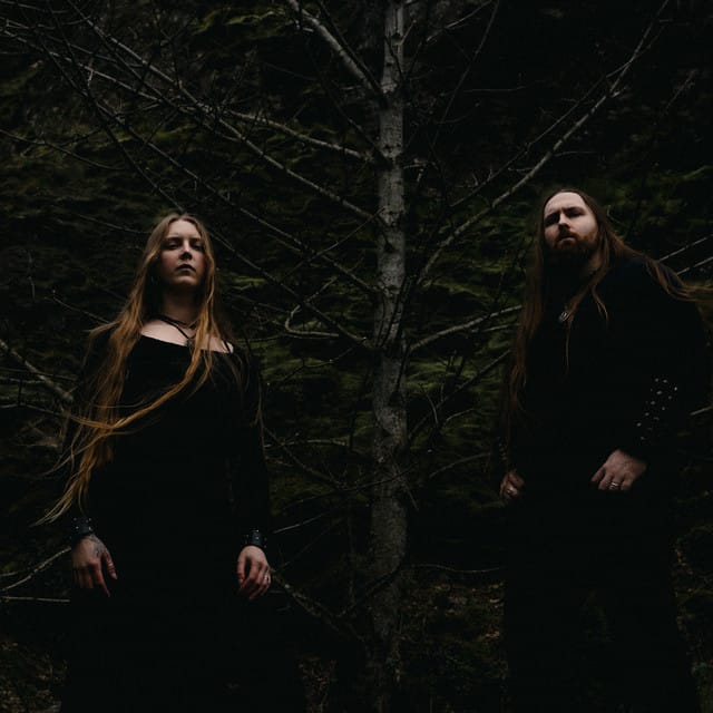 Hulder suites and premium seating