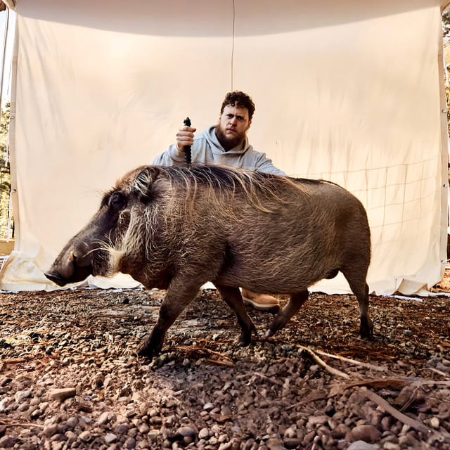 Bilmuri suites and premium seating