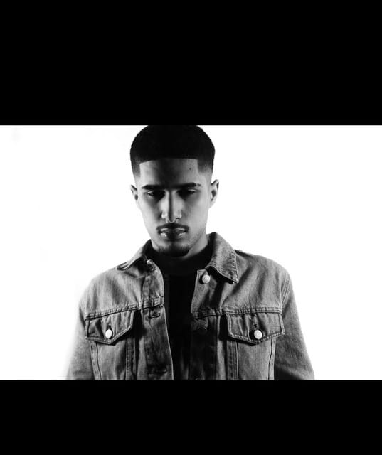 Fakemink suites and premium seating