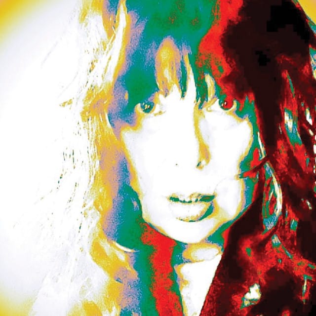 Ann Wilson suites and premium seating