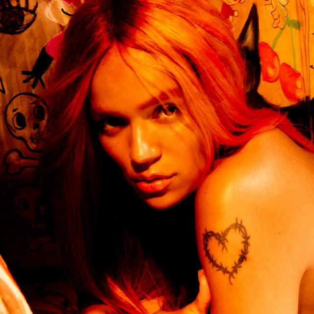 Karol G suites and premium seating