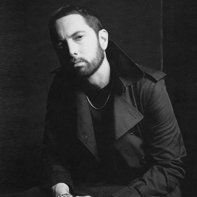 Eminem suites and premium seating