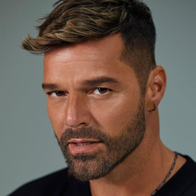 Ricky Martin suites and premium seating