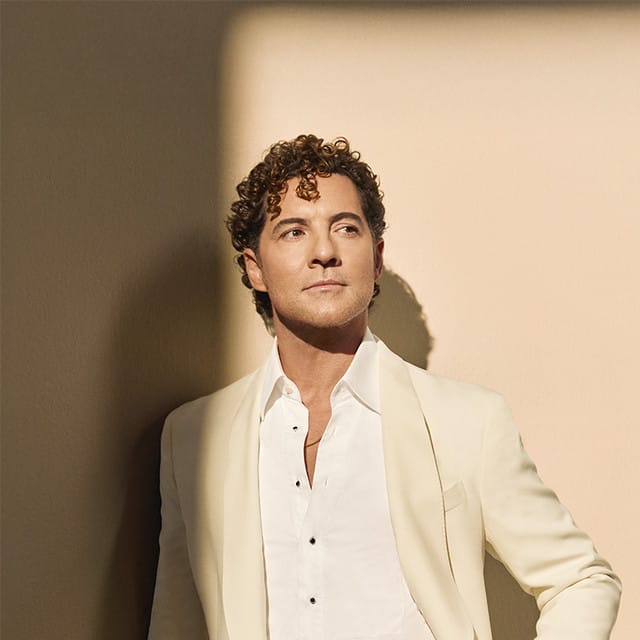 David Bisbal suites and premium seating