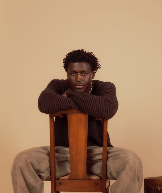 Mon Rovia suites and premium seating