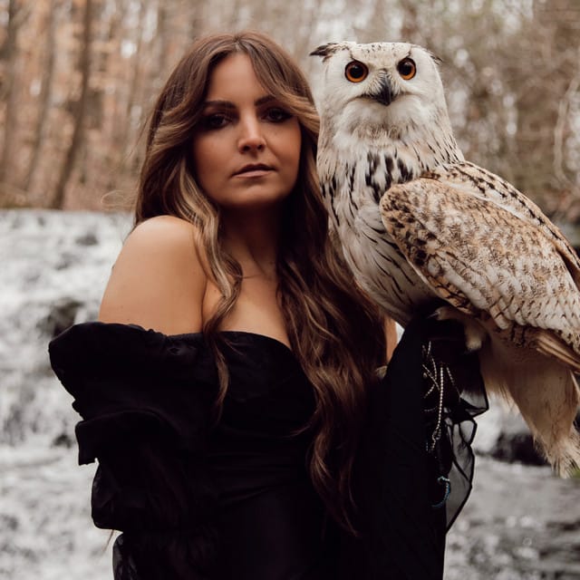 Brit Taylor suites and premium seating