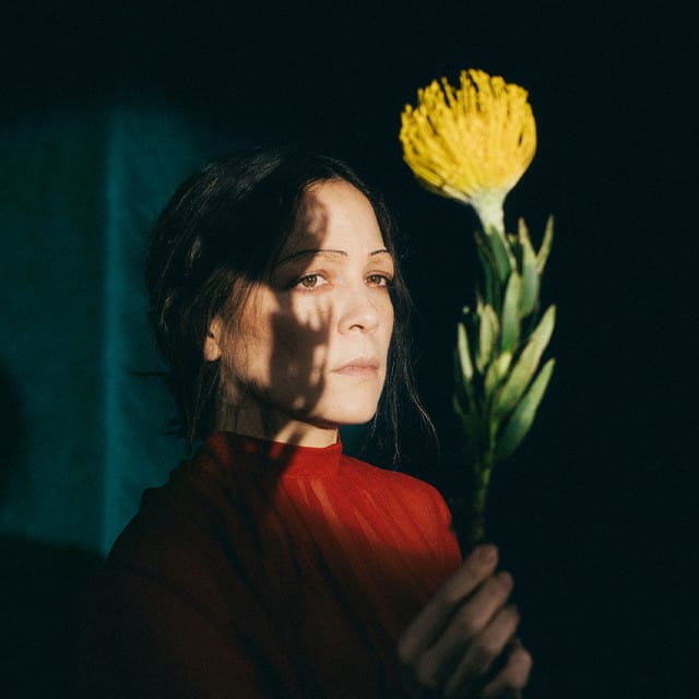 Natalia Lafourcade suites and premium seating
