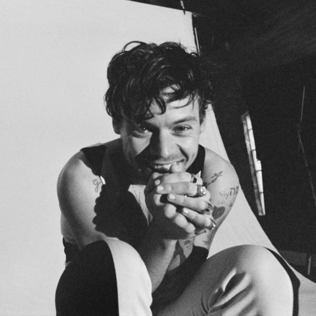 Harry Styles suites and premium seating