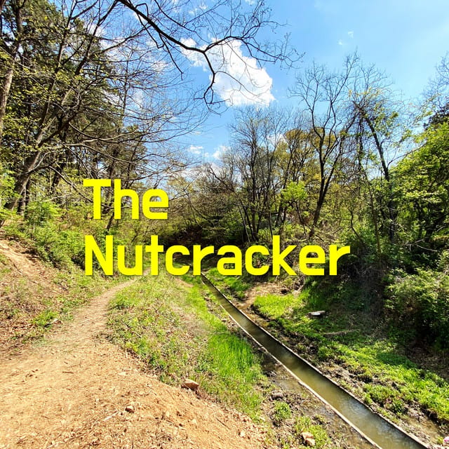 The Nutcracker suites and premium seating
