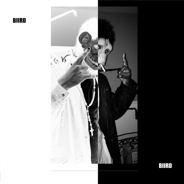 BIIRD suites and premium seating