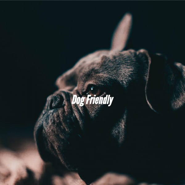 Smooth Summer Jazz suites and premium seating