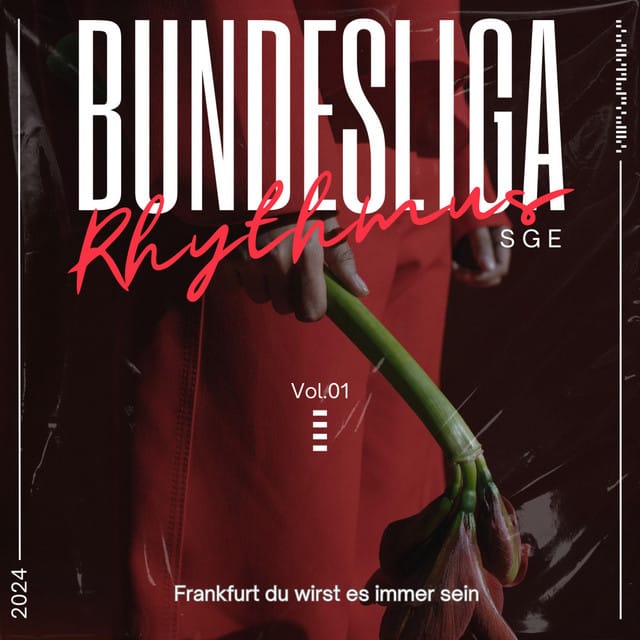 Bundesliga suites and premium seating