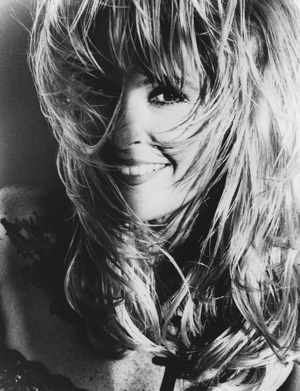 Lita Ford suites and premium seating