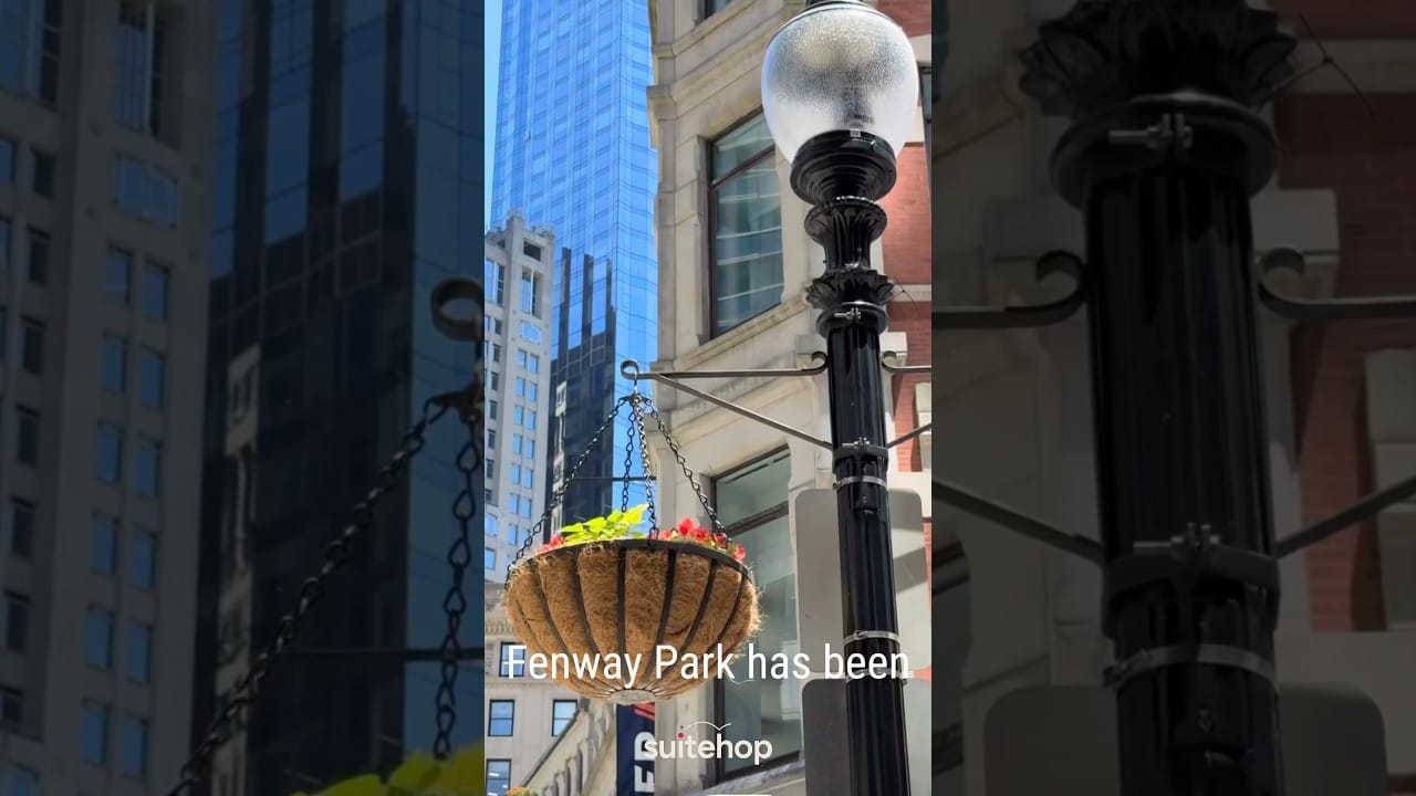 Video #6